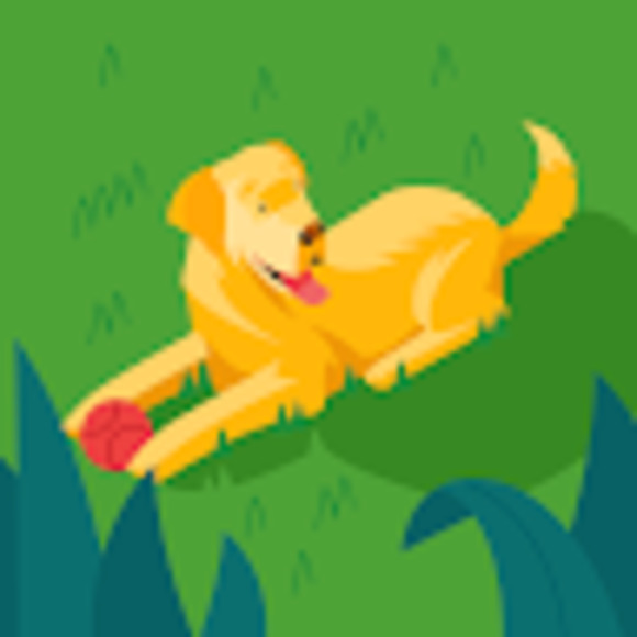 Meet your Posher, Melissa - Picture 1 of 1